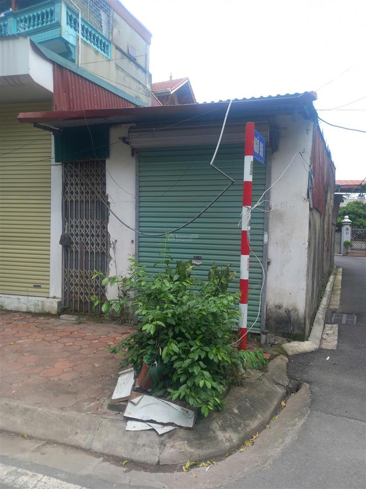 Cho thuê nhà khu b  viện rau trâu quỳ