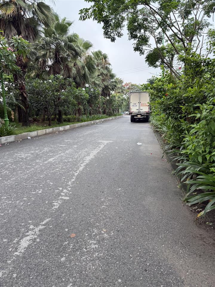 Bán đất 98m2 , trung tâm gia lâm