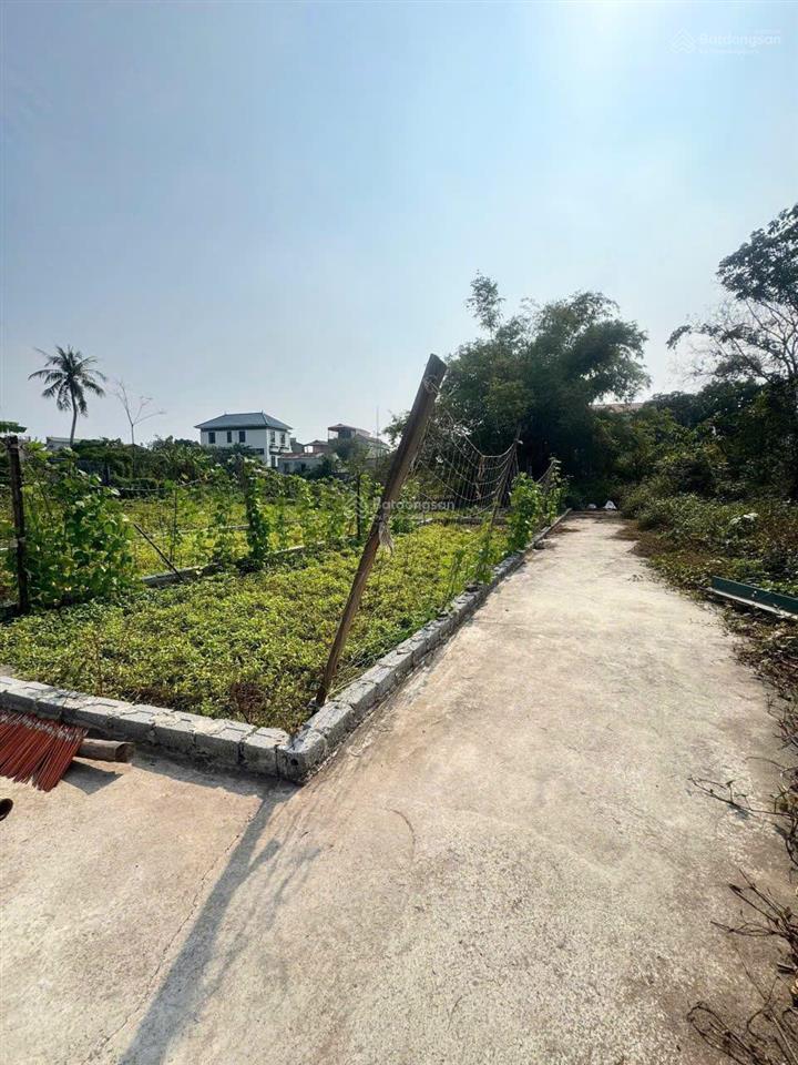 50m2 đất tt phú xuyên, không lỗi không quy hoạch giá nhỉnh 1 tỷ