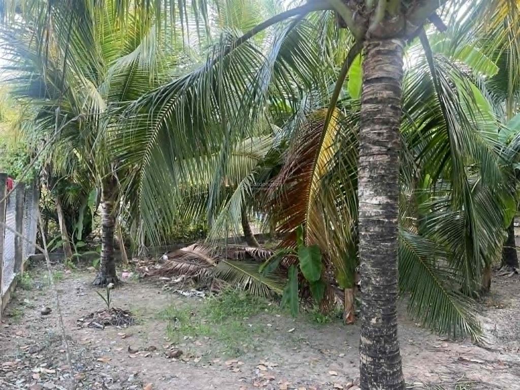 Bán đất đẹp xuất sắc tại an khánh, 4 tỷ, 998.2 m2