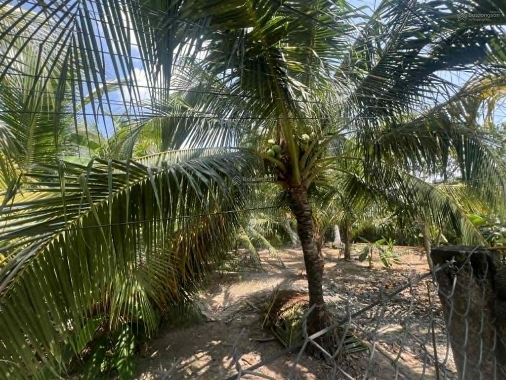 Bán đất đẹp xuất sắc tại an khánh, 4 tỷ, 998.2 m2