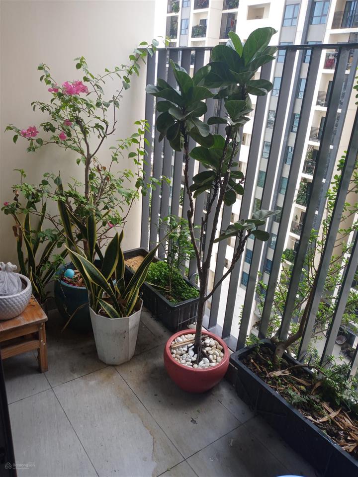 Pass căn hộ 2pn2wc cho thuê hado centrosa garden, 22 triệu full nội thất 86m2