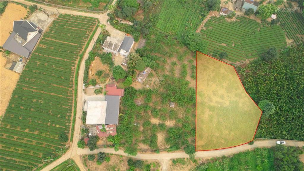 Bán đất view hồ đá bạc, dt 1147m2 (150m2 thổ cư), mặt tiền 30m giá 2,2tr/m2 xã an nghĩa, phú thọ