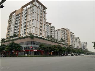 Cho thuê shophouse sarimi, sarina sala nguyên căn 3 tầng, diện tích 250m2, giá 95 triệu/tháng