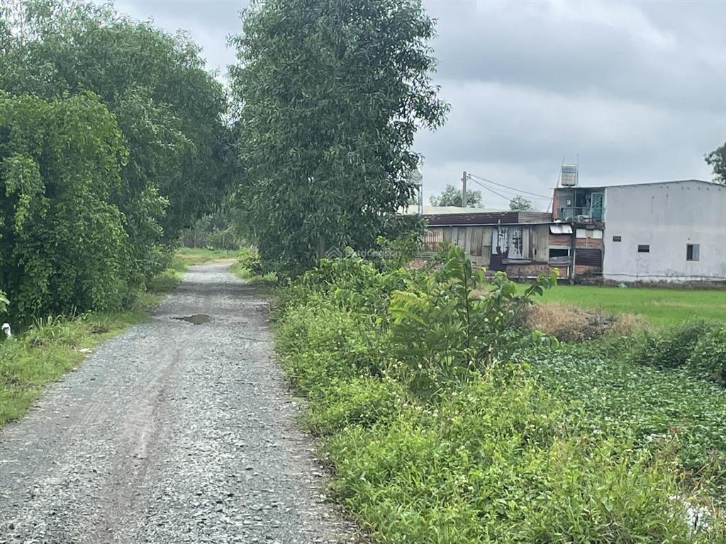 Bán nhanh lô đất vườn thuộc xã tân phú trung, củ chi, tphcm dt 995,2 m2