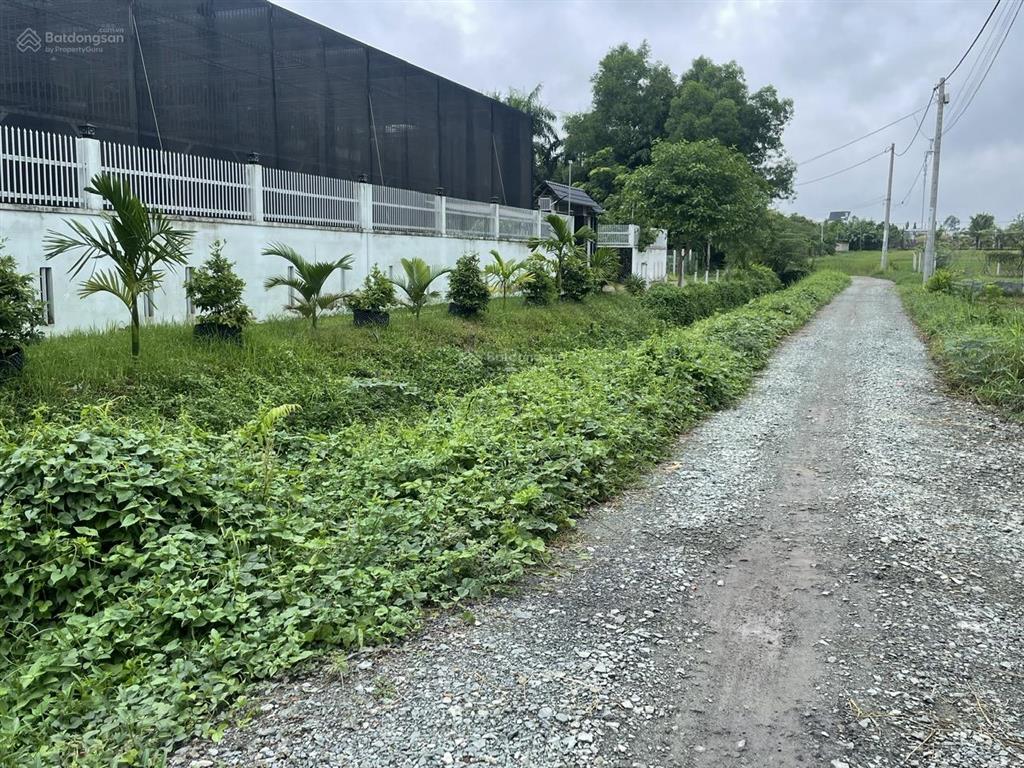 Bán nhanh lô đất vườn thuộc xã tân phú trung, củ chi, tphcm dt 995,2 m2