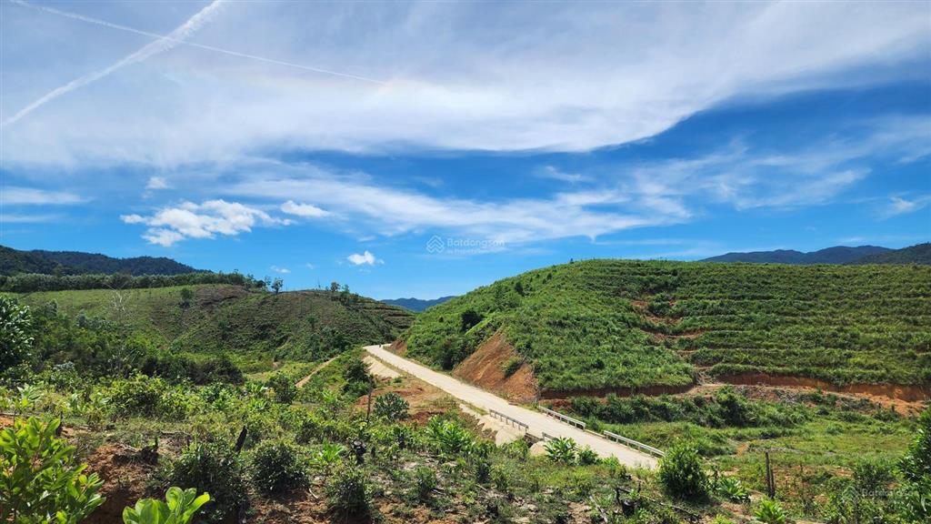 Chào bán lô đất rộng 36.887,3m2 tại xã ba đồi chè đông giang. nay là xã sông vàng thành phố đà nẵng