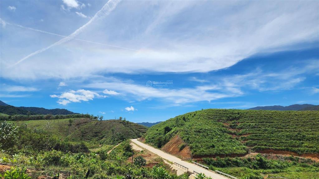 Chào bán lô đất rộng 36.887,3m2 tại xã ba đồi chè đông giang. nay là xã sông vàng thành phố đà nẵng