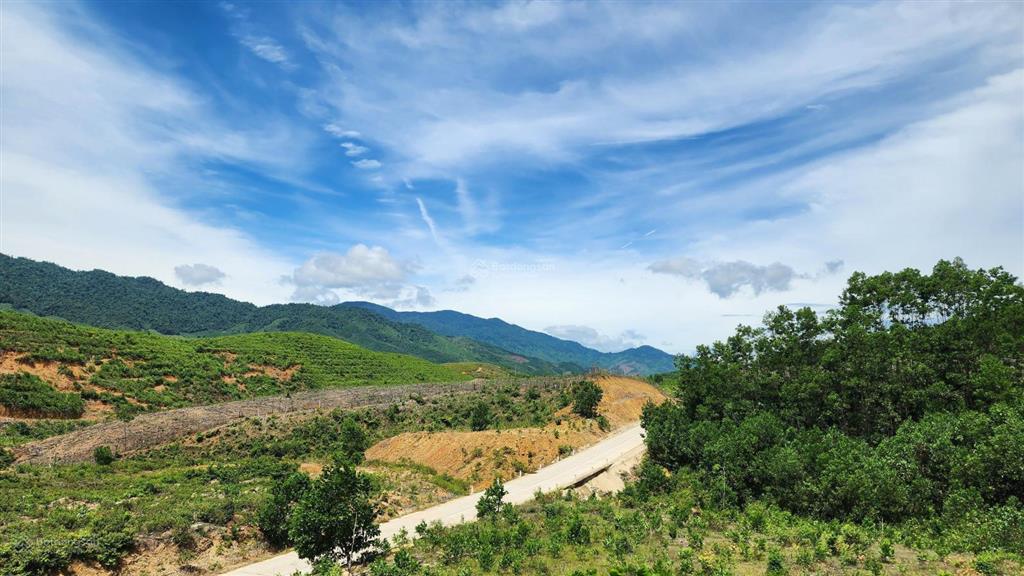 Chào bán lô đất rộng 36.887,3m2 tại xã ba đồi chè đông giang. nay là xã sông vàng thành phố đà nẵng