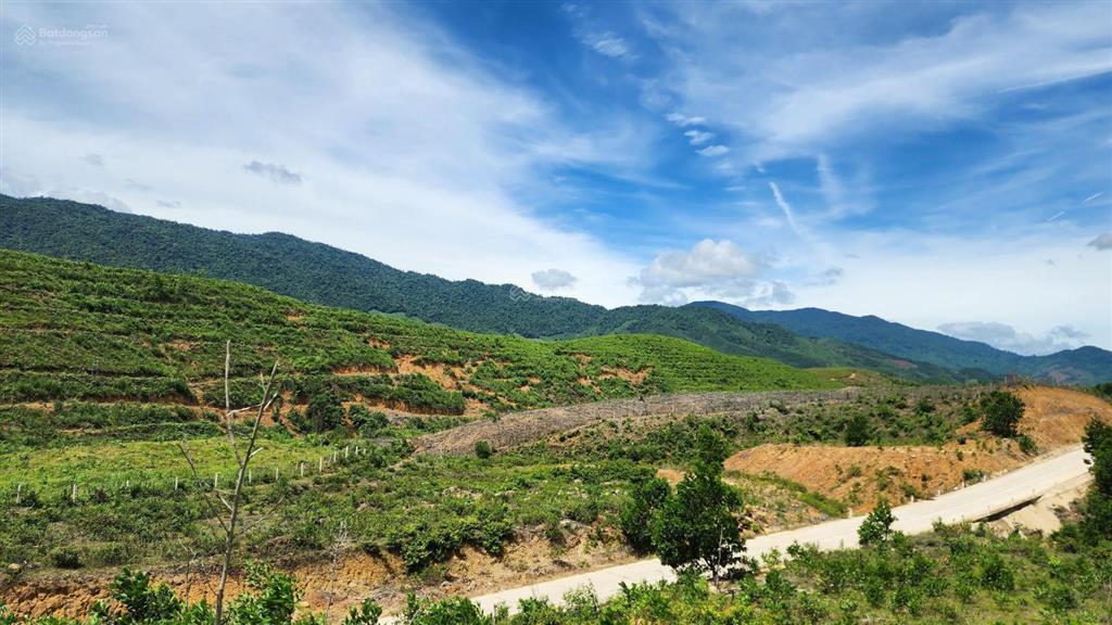 Chào bán lô đất rộng 36.887,3m2 tại xã ba đồi chè đông giang. nay là xã sông vàng thành phố đà nẵng