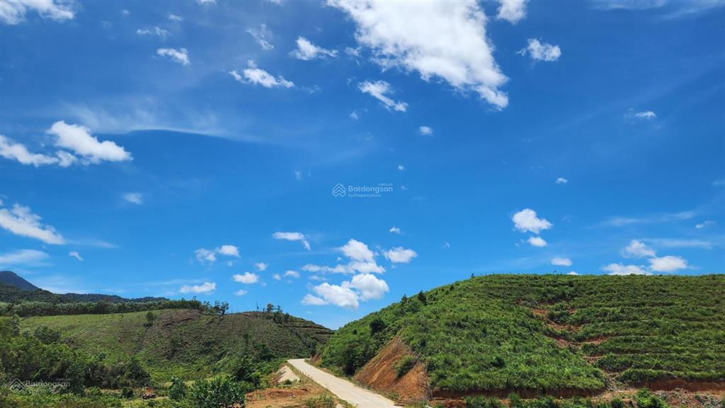 Chào bán lô đất rộng 36.887,3m2 tại xã ba đồi chè đông giang. nay là xã sông vàng thành phố đà nẵng