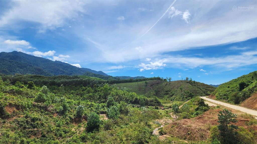 Chào bán lô đất rộng 36.887,3m2 tại xã ba đồi chè đông giang. nay là xã sông vàng thành phố đà nẵng