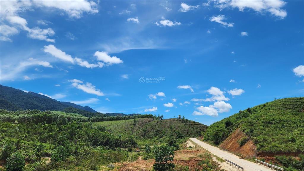 Chào bán lô đất rộng 36.887,3m2 tại xã ba đồi chè đông giang. nay là xã sông vàng thành phố đà nẵng