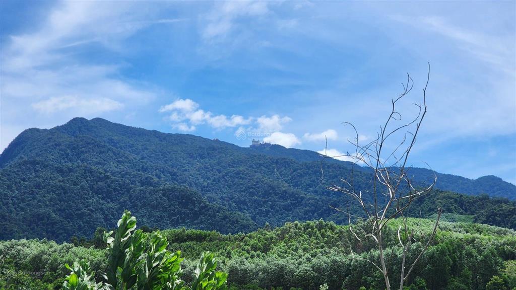 Chào bán lô đất rộng 36.887,3m2 tại xã ba đồi chè đông giang. nay là xã sông vàng thành phố đà nẵng