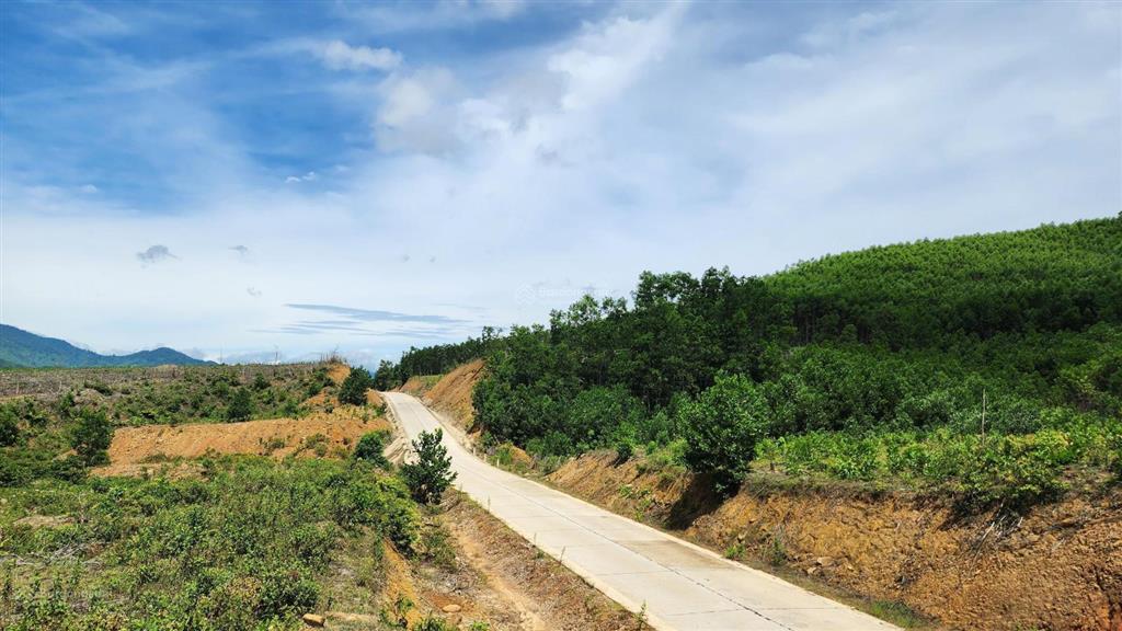 Chào bán lô đất rộng 36.887,3m2 tại xã ba đồi chè đông giang. nay là xã sông vàng thành phố đà nẵng