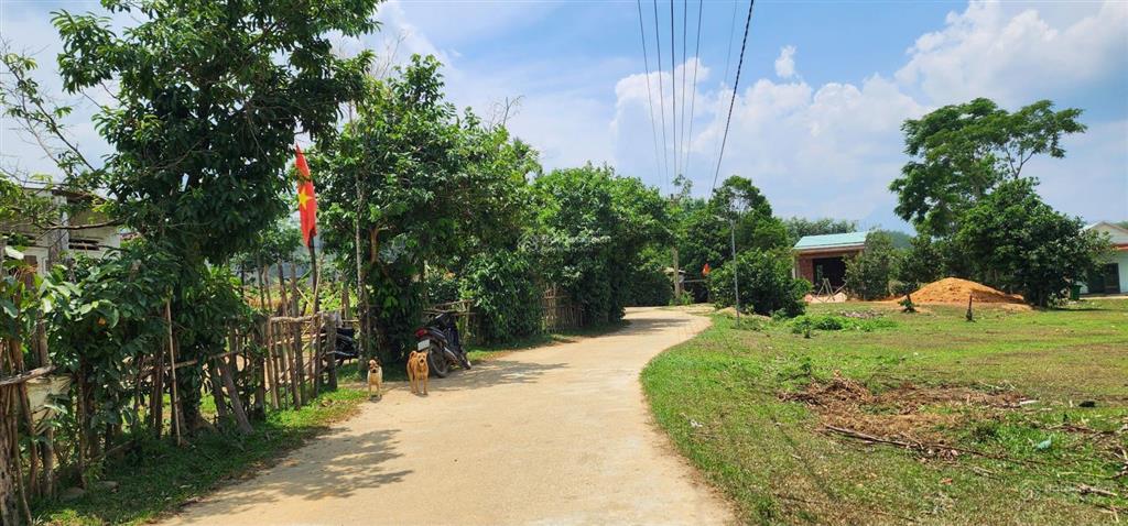 Chào bán gần 812,4m2 có 200m2 thổ cư đồi chè đông giang thành phố đà nẵng