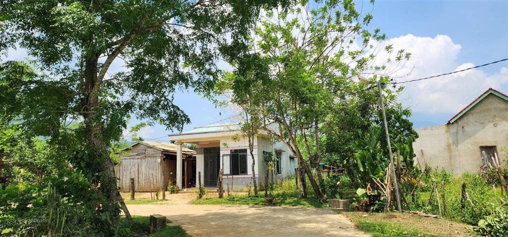 Chào bán gần 812,4m2 có 200m2 thổ cư đồi chè đông giang thành phố đà nẵng