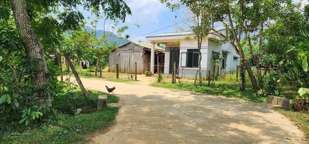 Chào bán gần 812,4m2 có 200m2 thổ cư đồi chè đông giang thành phố đà nẵng
