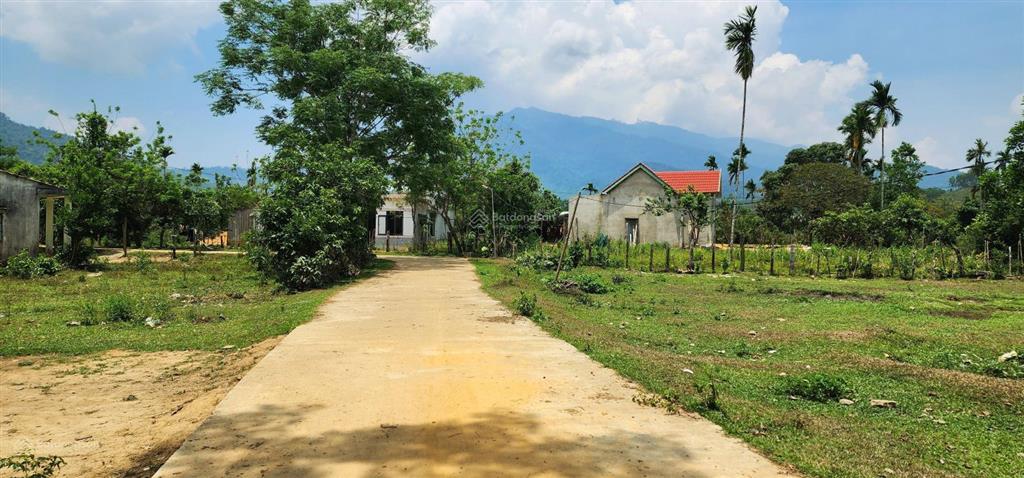 Chào bán gần 812,4m2 có 200m2 thổ cư đồi chè đông giang thành phố đà nẵng