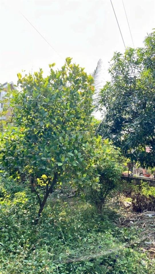 Đất trống 1000m2 giá rẻ có sẵn nhà cấp 4 ngay ngã 4 bình phước kd đa ngành