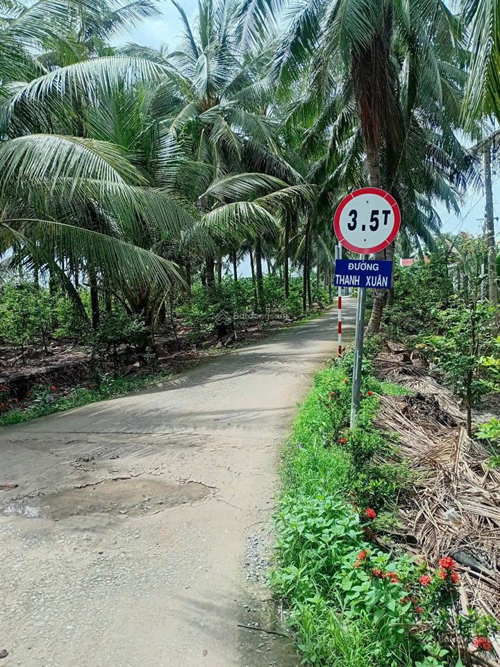 Bán đất nhà vườn chính chủ 563m2 có 160m2 thổ cư, đường ô tô tại xã tân phú, tân phú đông