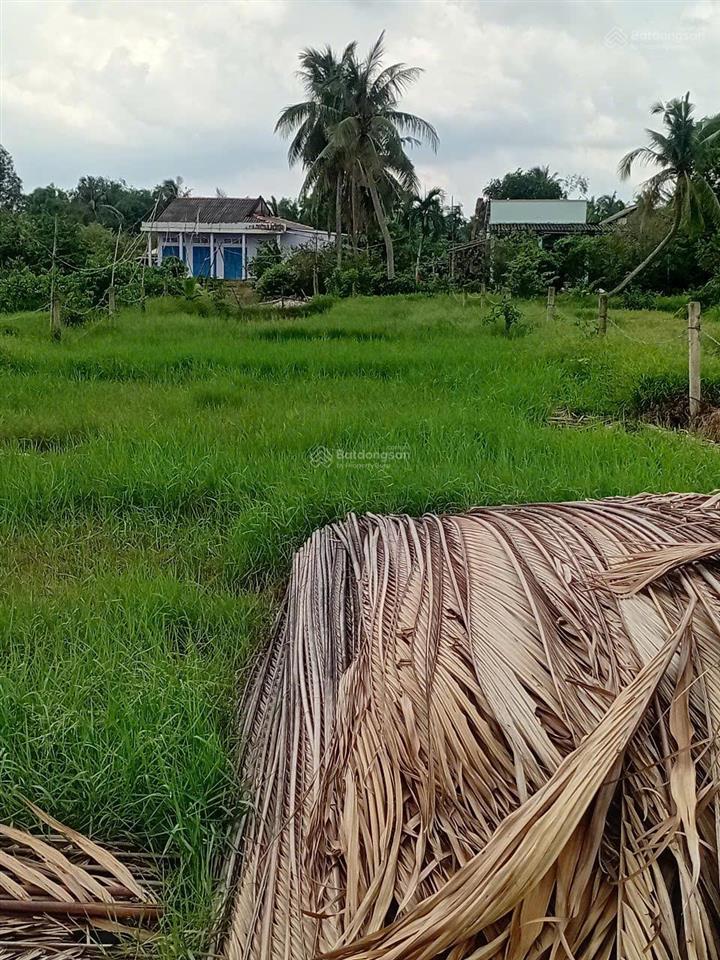 Chính chủ cần bán đất thổ cư tại tân phú  tân phú đông, tiền giang