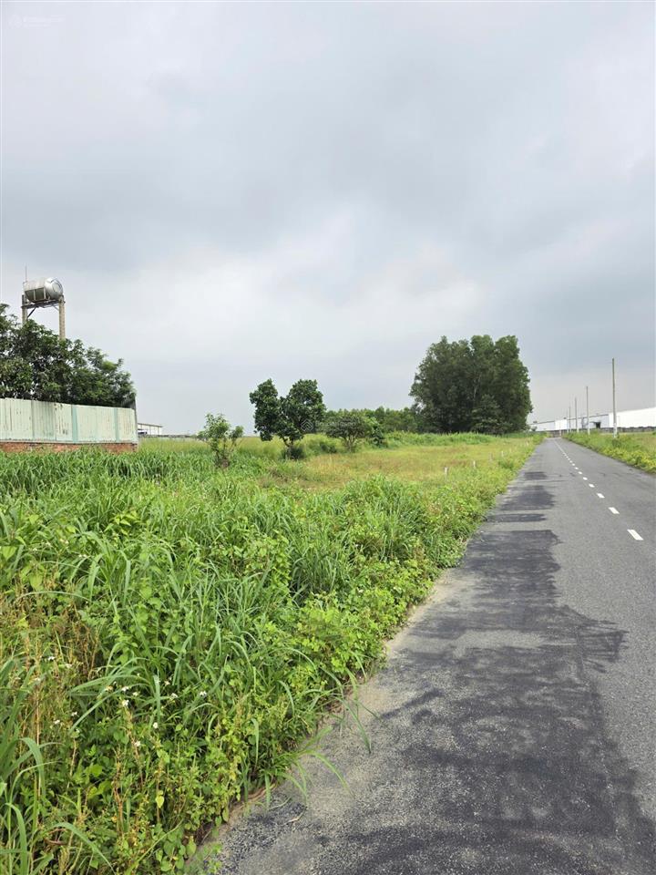 Bán 6 lô đất nền tại xã bình an, đồng nai (gần sân bay long thành)