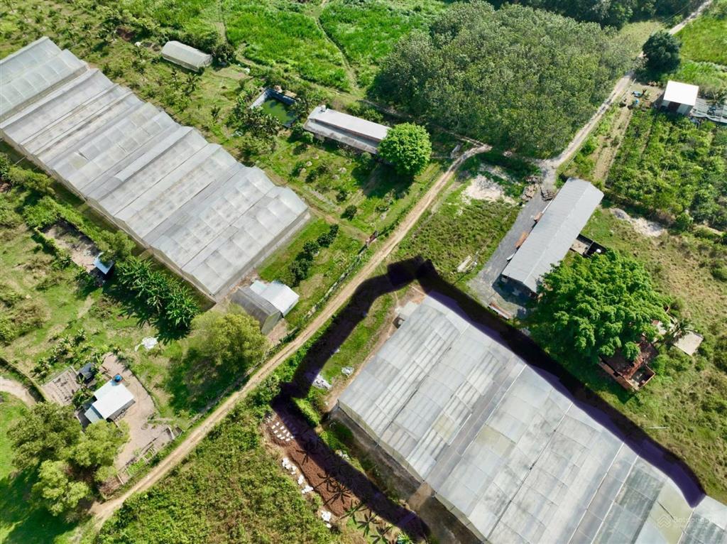 Bán đất 5.146m2, đất trồng cây lâu năm, có sẵn nhà màng ~3.000 m. cách safari quy mô 500ha ~3km ko