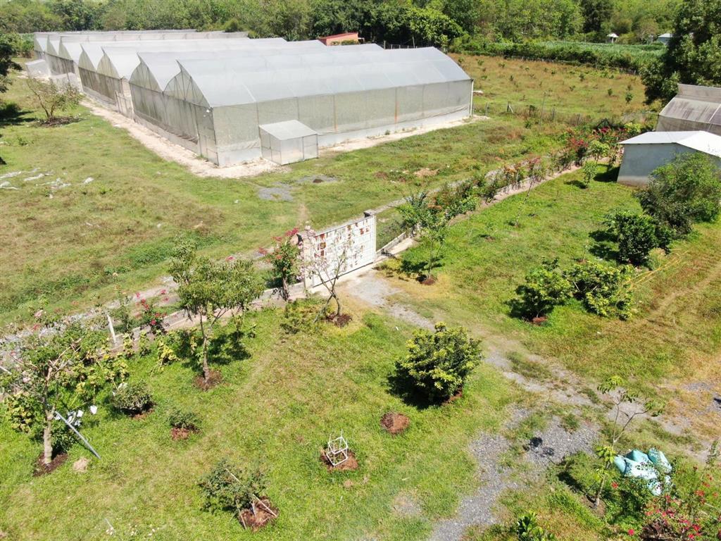 Bán đất 5.146m2, đất trồng cây lâu năm, có sẵn nhà màng ~3.000 m. cách safari quy mô 500ha ~3km ko