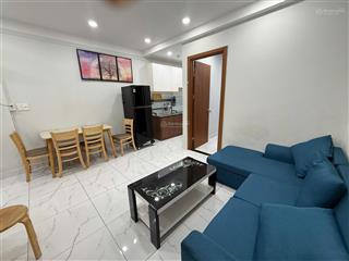 Cho thuê căn hộ chung cư phúc đạt connect sát bên hiệp thành 3. dt 56m2, 2 phòng ngủ, 1wc full