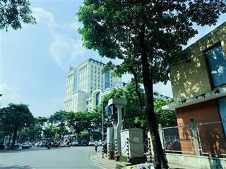 Phân lô vỉa hè ô tô tránh kinh doanh đỉnh cao lâm hạ long biên