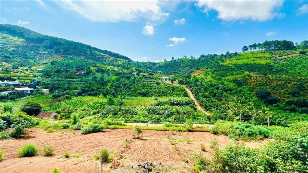 420m2 đất nghỉ dưỡng ven đà lạt chỉ 1.1 tỷ, sẵn 100m2 thổ cư, đường betong lớn oto đi đến đất , shr