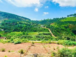420m2 đất nghỉ dưỡng ven đà lạt chỉ 1.1 tỷ, sẵn 100m2 thổ cư, đường betong lớn oto đi đến đất , shr