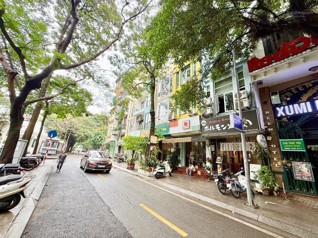 Bán đất, mặt phố nguyễn văn ngọc, ba đình, vỉa hè 5m, vị trí đắc địa, kd các loại hình, dân trí