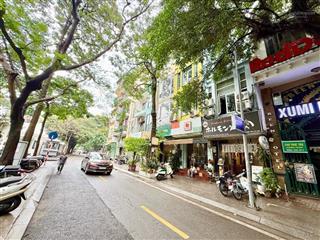 Bán đất, mặt phố nguyễn văn ngọc, ba đình, vỉa hè 5m, vị trí đắc địa, kd các loại hình, dân trí