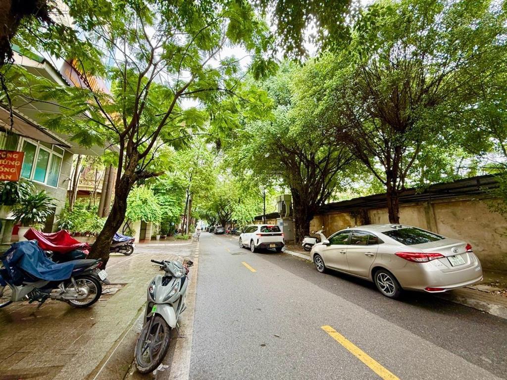 Bán đất, mặt phố nguyễn văn ngọc, ba đình, vỉa hè 5m, vị trí đắc địa, kd các loại hình, dân trí