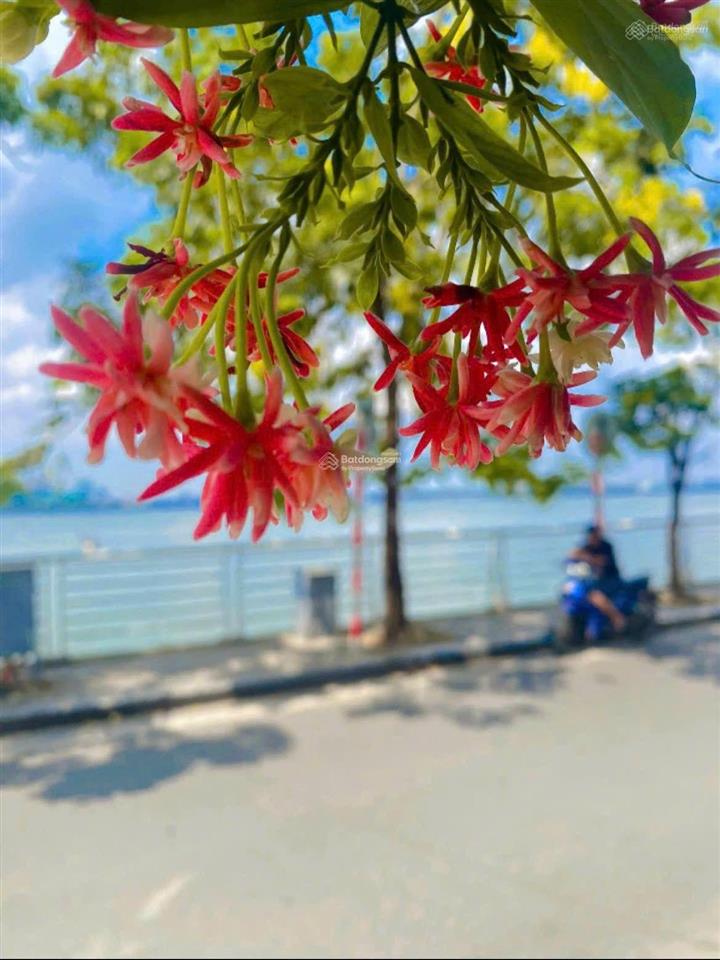 Chính chủ bán nhà, mặt phố nguyễn đình thi, tây hồ, lô góc 3 mặt thoáng, view mặt hồ tây,