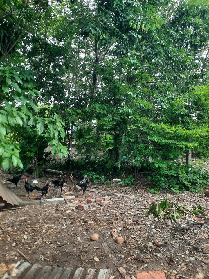Cho thuê mặt bằng 2.800 m2. giá 20tr/tháng