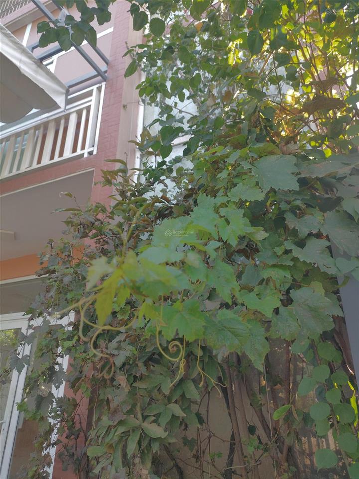 Bán nhà 3 tầng  đất trăm mét  giá chỉ nhỉnh hơn 2 tỷ tp. huế!