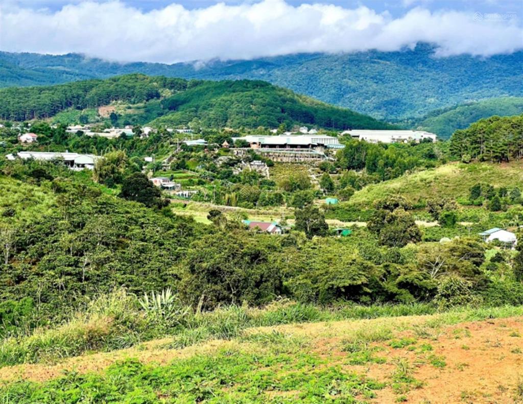 Bán đất tp. đà lạt vị trí p11, tp. đà lạt. diện tích 2.000m2. loại đất đất trồng cây hàng năm