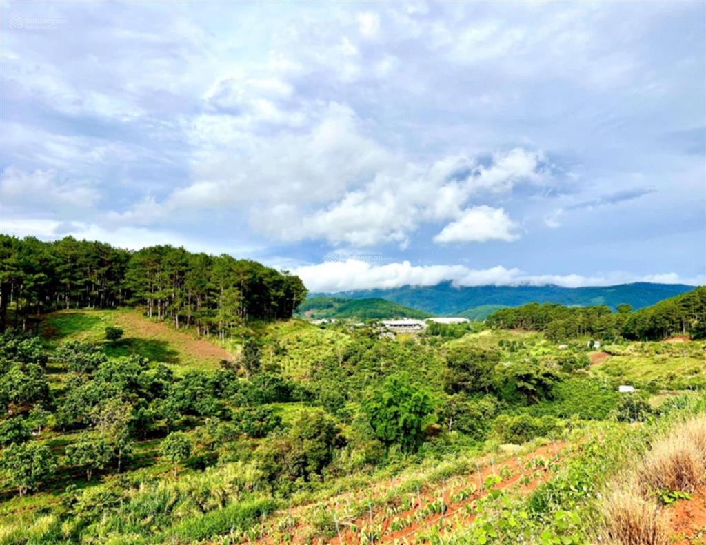 Bán đất nông nghiệp phường 11 tp. đà lạt. vị trí phường 11, tp. đà lạt, lâm đồng. dt 1800m2