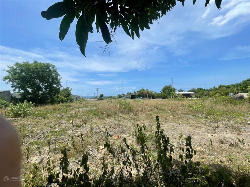 Bán 2479m2 đất biển ninh phước hướng đông