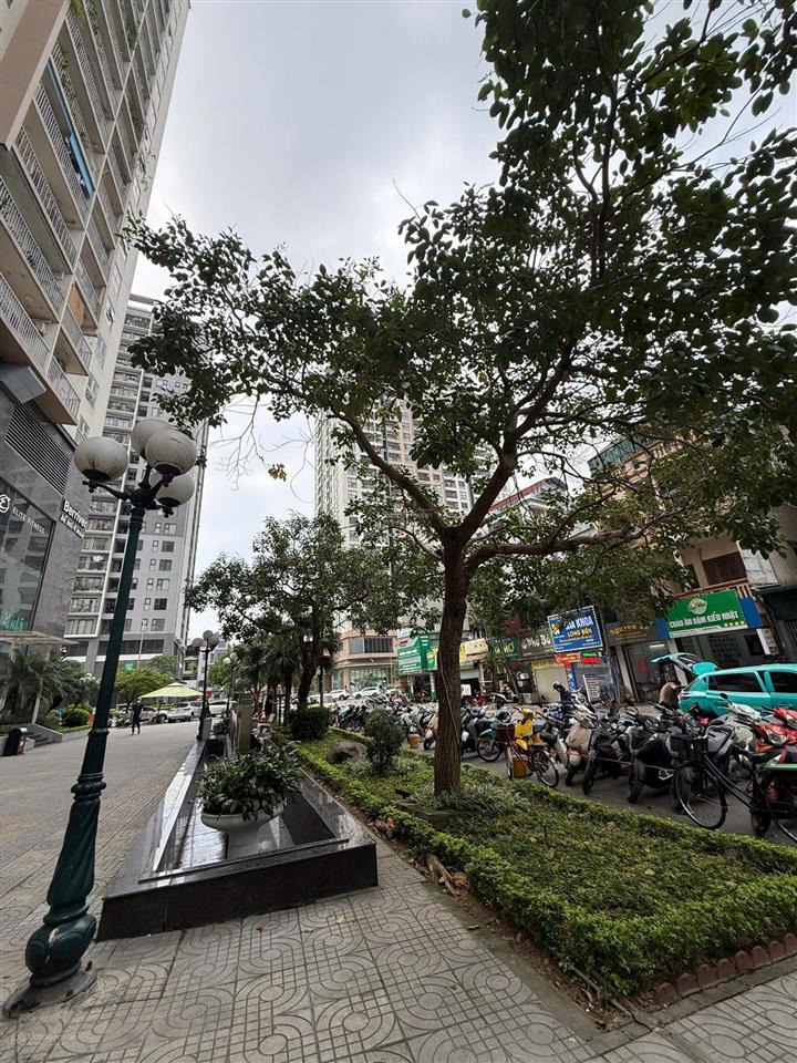 Chính chủ cần bán căn 94m2 3pn 2vs berriver tầng cao view phố cổ, sẵn sổ đỏ