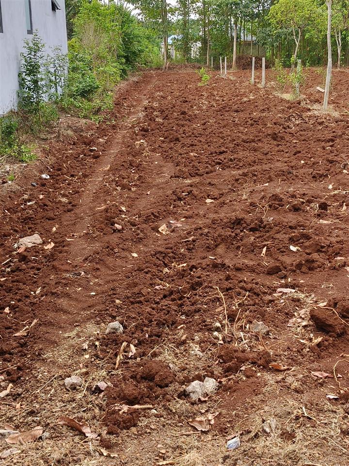 Đất quy hoạch đất ở nông thôn, mặt tiền 9,57m, đường nhựa 25m, xã bàu chinh, huyện châu đức (cũ).