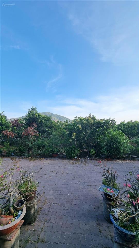 Bán đất vườn 15,678m2 có thổ cư, chính chủ tóc tiên, phú mỹ, brvt. ngay cao tốc biên hòa  vũng tàu