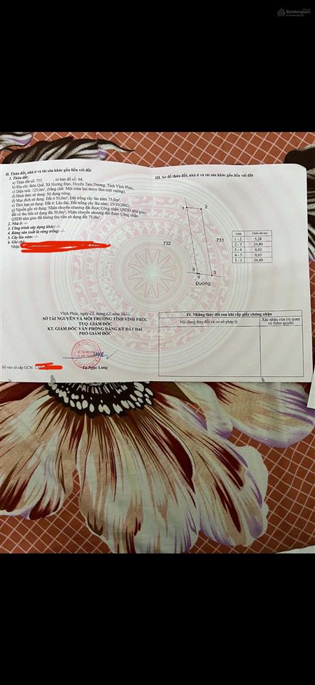 Đất thôn quế tam dương phú thọ (vĩnh phúc cũ)
