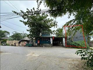Bán đất hướng đạo tam dương phú thọ (vĩnh phúc cũ)
