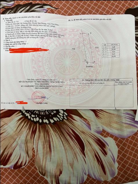 Bán đất hướng đạo tam dương phú thọ (vĩnh phúc cũ)