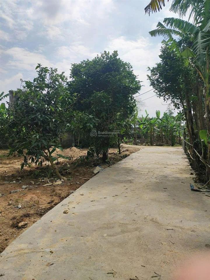 Mình chính chủ cần bán đất biệt thự vườn thôn ninh an, xã hòa nhơn, không gian sống xanh