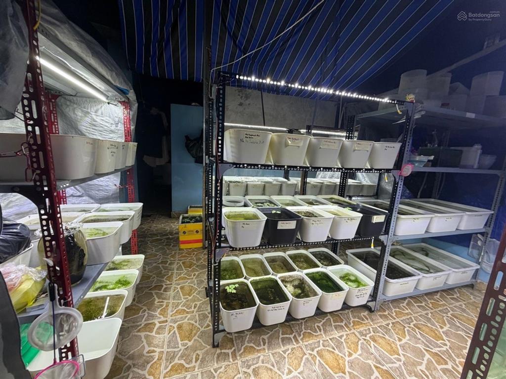Nhà 3 tầng hồng lạc, âu cơ, tân bình